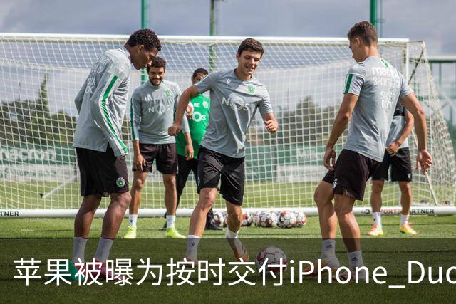 苹果被曝为按时交付iPhone Duo下调质检标准 供应链人士对此说法存在分歧
