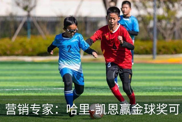 营销专家：哈里-凯恩赢金球奖可以挽救英国足球的声誉