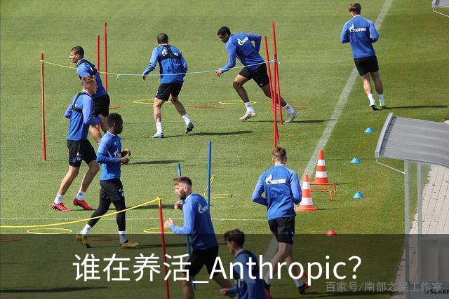 谁在养活 Anthropic？